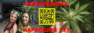 прущие грибы Лесосибирск