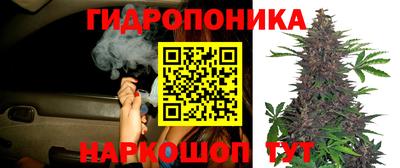 прущие грибы Лесосибирск