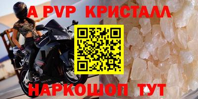 прущие грибы Лесосибирск