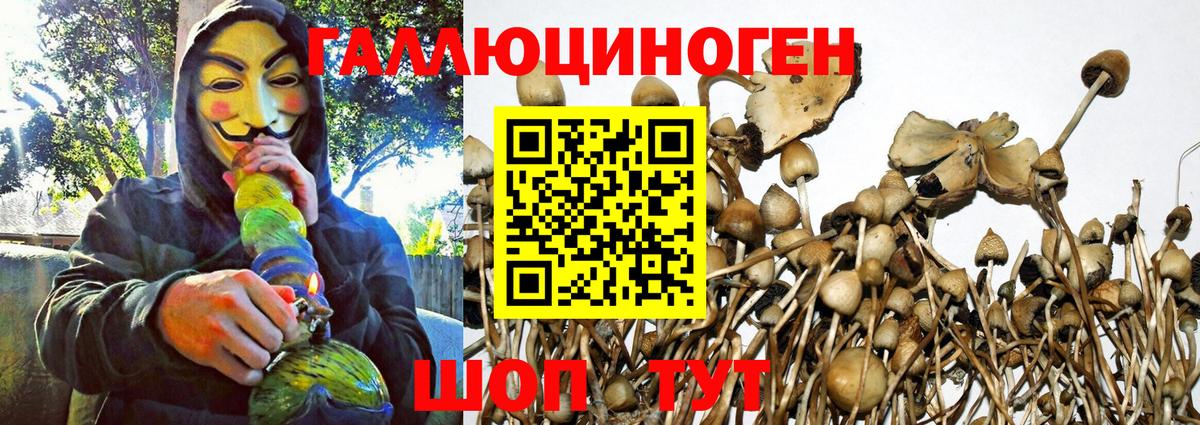 Верхний Уфалей  Галлюциногенные грибы Psilocybe  Псилоцибиновые грибы прущие грибы  Вход с VPN 